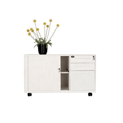 Shutter Door Anti Tilt RAL Color Steel Mobile Pedestals